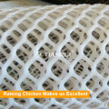 China Factory Supply Baby Chicken Cage / Pullet Raising Ausrüstung für Südostasien Markt